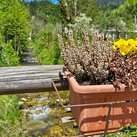 Apartamento Pr' Kavac By Interhome *