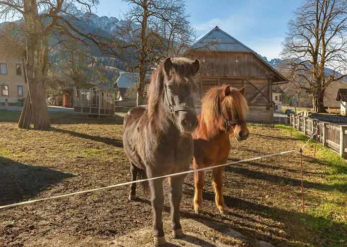 Lejlighed Pr' Kavac By Interhome